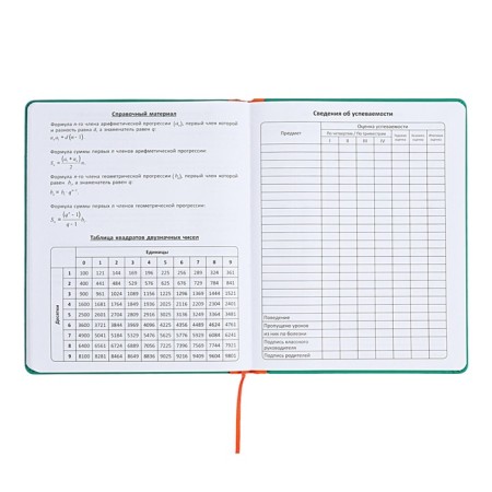 Universal diary for grades 1-11 Excellence, solid cover of artificial leather, silkography, lies, 48 ​​sheets, green-13