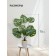 Decorative plant in a ceramic pot of Monster, 12 × 12 × 70 cm