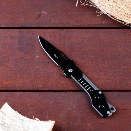 Folding knife "steel" 17cm, blade 75mm/1.2mm