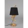 Accumoli E14 40W desktop lamp