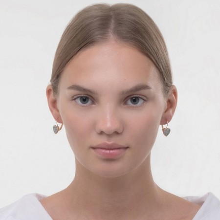 Earrings Assorted "hearts" sparkles, color silver in gold-2