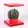 Box for flowers with a vase and PVC windows are folding, 23 x 30 x 23 cm, plain, red