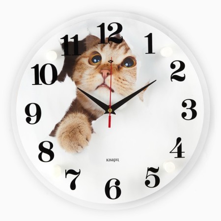 Watching clock, interior: animal world, "cat", d-30 cm, silent