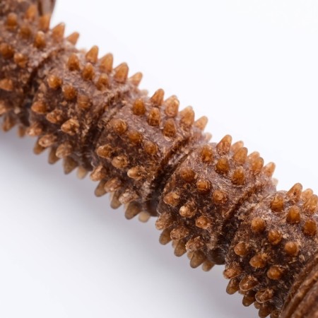 Dog toy "stick", tpr+bamboo, massage, 14.2 x 5.2 cm-3