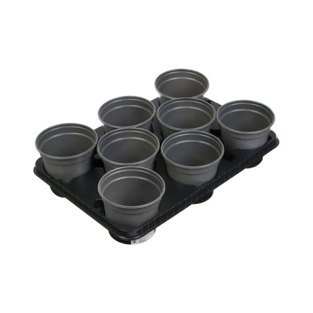 Set for seedlings: glasses of 520 ml (8 pcs), pan 40 × 30 cm, black, Greengo-14