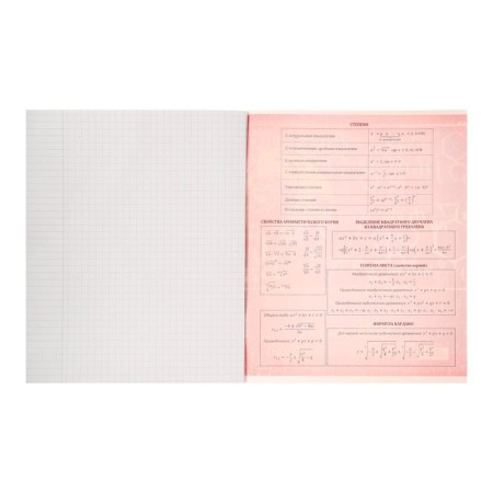 Substantial note Calligrata "Metal", 48 sheets in the algebra cage, with reference material, covered cardboard, block No. 2, whiteness 75% (gray sheets)-3