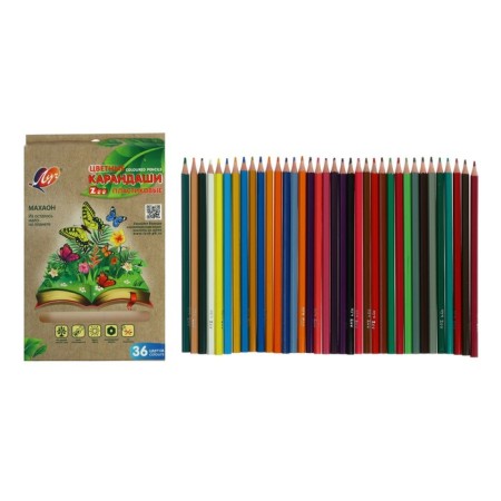 Plastic pencils 36 colors Ray "Zoo", hexagonal