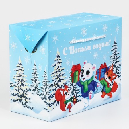 Package - Box "Happy New Year", animals, 23 x 18 x 11 cm, new year-3