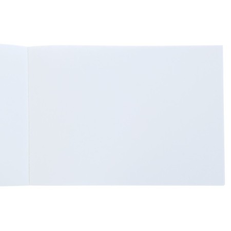 Album for drawing A4, 40 sheets on glue "Professional series", cardboard cover, block 150 g/m2, mix-2