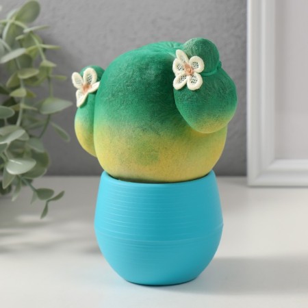 Growing gift Eco -Zhizhivchik "Cactus in a pot" Blue-3