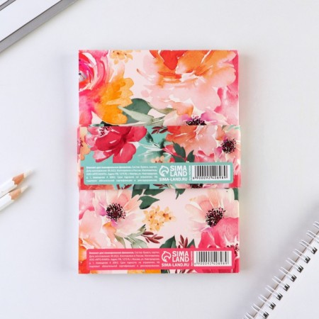 Notepad for planning finance "Dream"-11