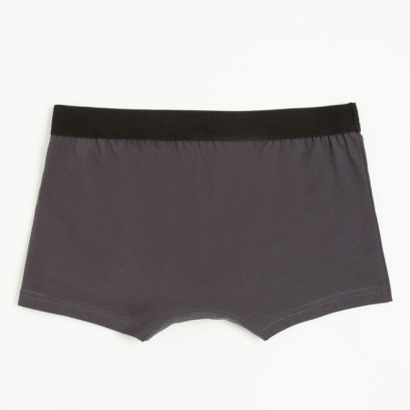 Panties men's boxers minku color gray, river 44-8