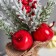 Decor "Bright holiday, in the bag" Berry branches, 23x10 cm