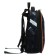 School backpack 38 x 30 x 16 cm, ergonomic back, Stavia "dinosaur 2", black