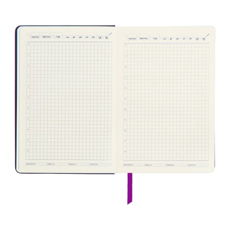 Leduced Diary A5, 140l, cage, leatherette, elastic band, blue cut, purple-12