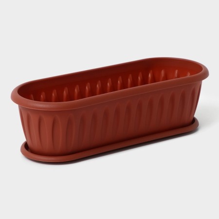 A pot for a cactus with a felicia pallet, terracotta color