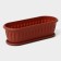 A pot for a cactus with a felicia pallet, terracotta color