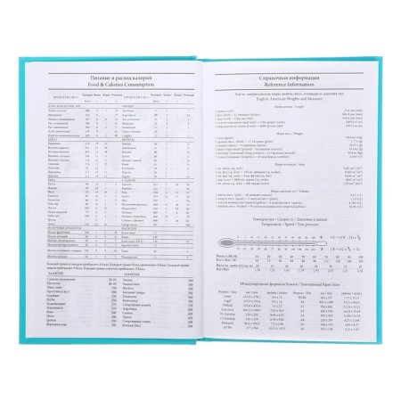 Diary of a low -up a5 128 sheets, a boumvinyl cover, turquoise-5