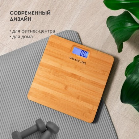 Floor Libra Galaxy GL 4820, electronic, up to 180 kg, 2haa-7