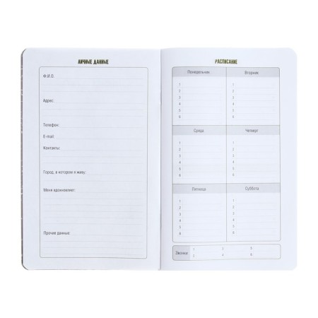 Notebook for boys A5, 56 sheets, "In the distance", cardboard cover, lamination "SOFT-Tach", selective varnish, OFSET 65G/m2 unit-3