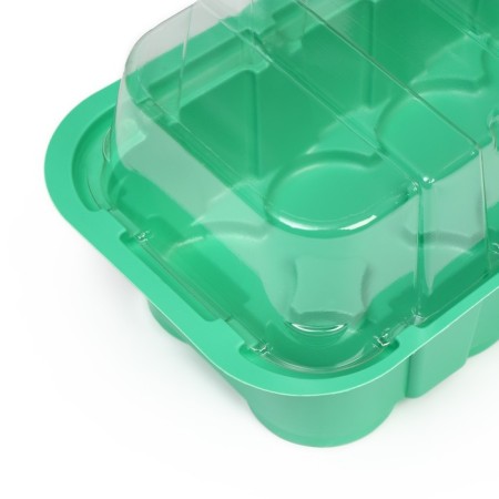 Mini-Pirate for seedlings, 35 × 13 × 11 cm, inserts (14 pcs.) For tablets for seedlings d = 4 cm, Greengo-3