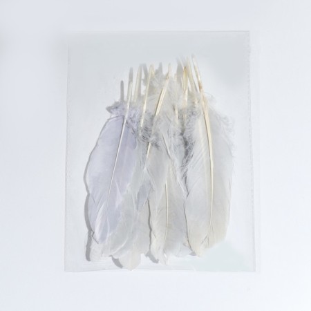 Feathers for decor, silver full color, 13-15 cm 10 pcs-4