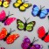 Magnet Plastic "Butterfly Multi -colored wings" 4.5 cm