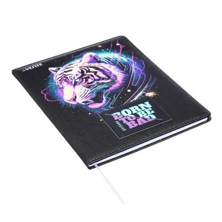 Universal diary for grade 1-11, hard cover, artificial leather, foam rubber, silkography, liesse, 80 g/m2-1