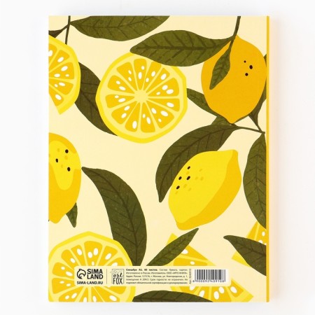 Fruster with coloring anti -stress A5, 80 L "Live bright"-7
