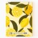 Fruster with coloring anti -stress A5, 80 L "Live bright"