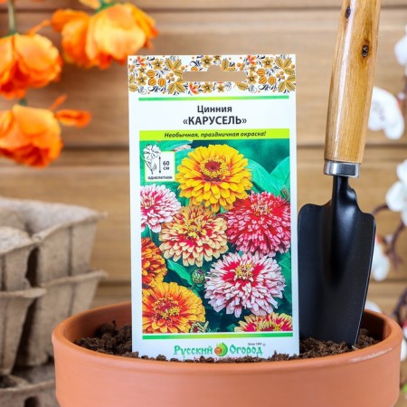 Cinnia "Carousel" flower seeds, mixture 0.3 g-6