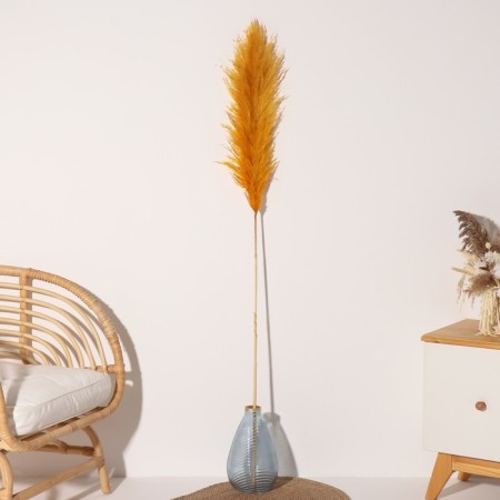 Sukhotzet "Cortery", 1 branch, length 140-150 cm, mustard