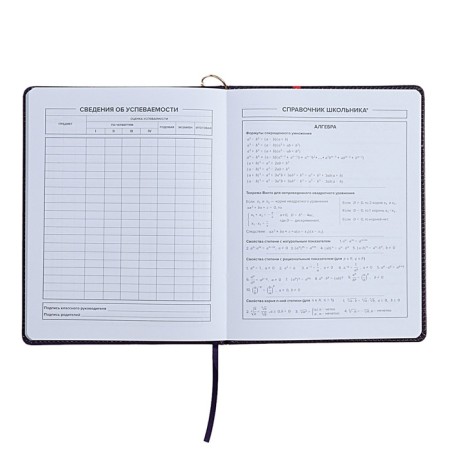 Universal Diary Grade 1-11, 48 sheets "Magic Cat", a solid cover of artificial leather, lies, universal cheat sheet, block 80 g/m2-11