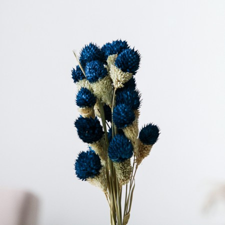 Sukhotzet "Gofreni Sherrovid" set 20 pcs., Blue color-1