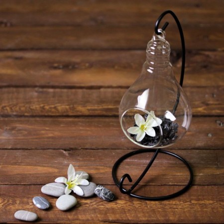 Florarium "on the suspension" 23 cm light bulb 15x9 cm d-5.5 cm-1