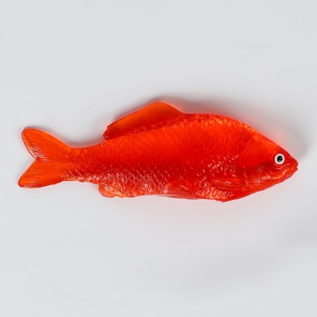 Липучка «Рыбка», цвета МИКС-1