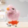 Clothing toy "chicken", color mix