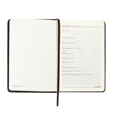 Diary Nedtir A5 160l Escalada, TV Region, Light claim, Las, tone BL 70g/m2, brown-7
