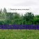 Decorative fence, 35 × 210 cm, 5 sections, plastic, lilac, RENESSANS, GREENGO