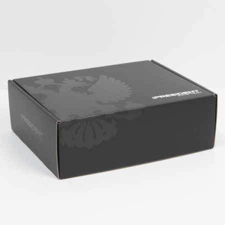 Folding box, 27 × 21 × 9 cm, Putin Team