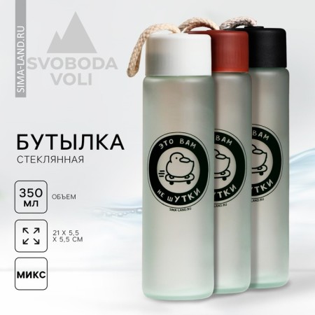 Water bottle "Ducks", glass, color mix, 350 ml