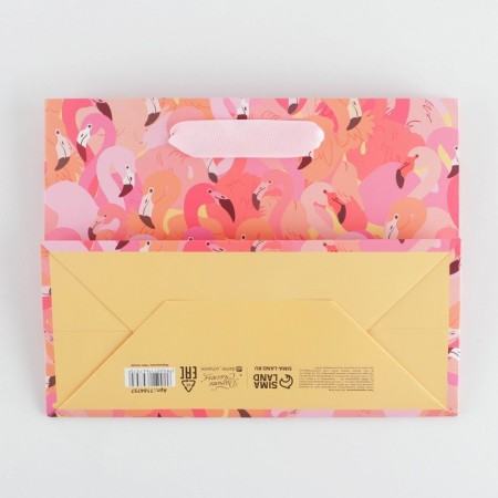 Package Gift Laminated Horizontal, Packaging, Flamingo, MS 18 x 23 x 10 cm-3