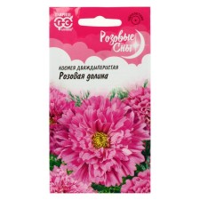 Cosmea Flower seeds 