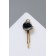 Icon "syringe" carpol mini, red color in gold