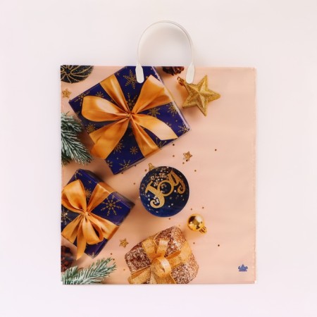 New Year. Package "beige mood", plastic with a plastic pen, 44 x 40 cm.