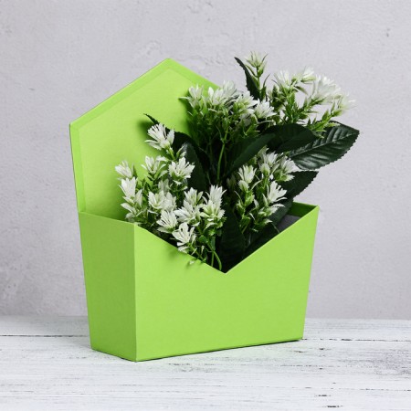 Trapection envelope is monophonic, light green19.5 x 23 x 8 cm