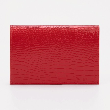 Cover for passport, red color-1