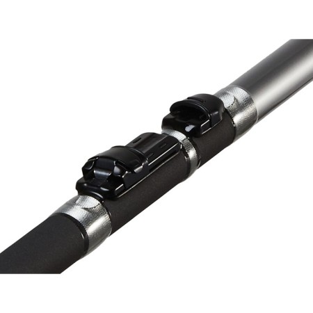 Salmo Diamond Bolognes Medium M, Test 5-20 g, length 6 m.-2