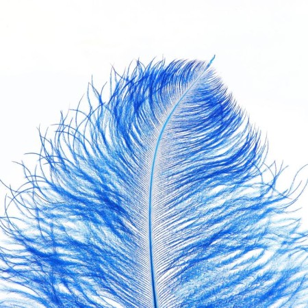 Feather for decor, length: from 45 to 60 cm, blue color-1
