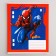 Notebook in a cage 12 sheets, 5 types of mix, cover coated cardboard, spider-man